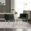 Chaise d'appoint de loisirs avec chaises en métal 2PC / ENSEMBLE