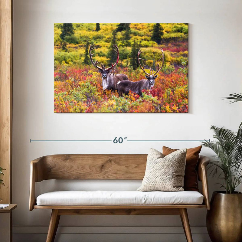 Paire de caribous Brampt, H 30 po x l 45 po