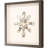 " Oyster Shell I " by Inspire Studio