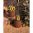 Veradek Patina Series Kona Round Planter-109079907-109079909