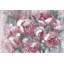 Charismatique - reproduction sur toile-28104551