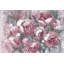 Charismatique - reproduction sur toile-28104557