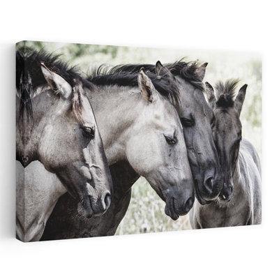 Peaceful Horse Family Peaceful Contemporary Horse Nature Portrait Wall Art Print by Jaap Van Den - Wrapped Canvas Print