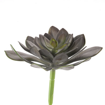 9'' Faux Frosty Echeveria Succulent