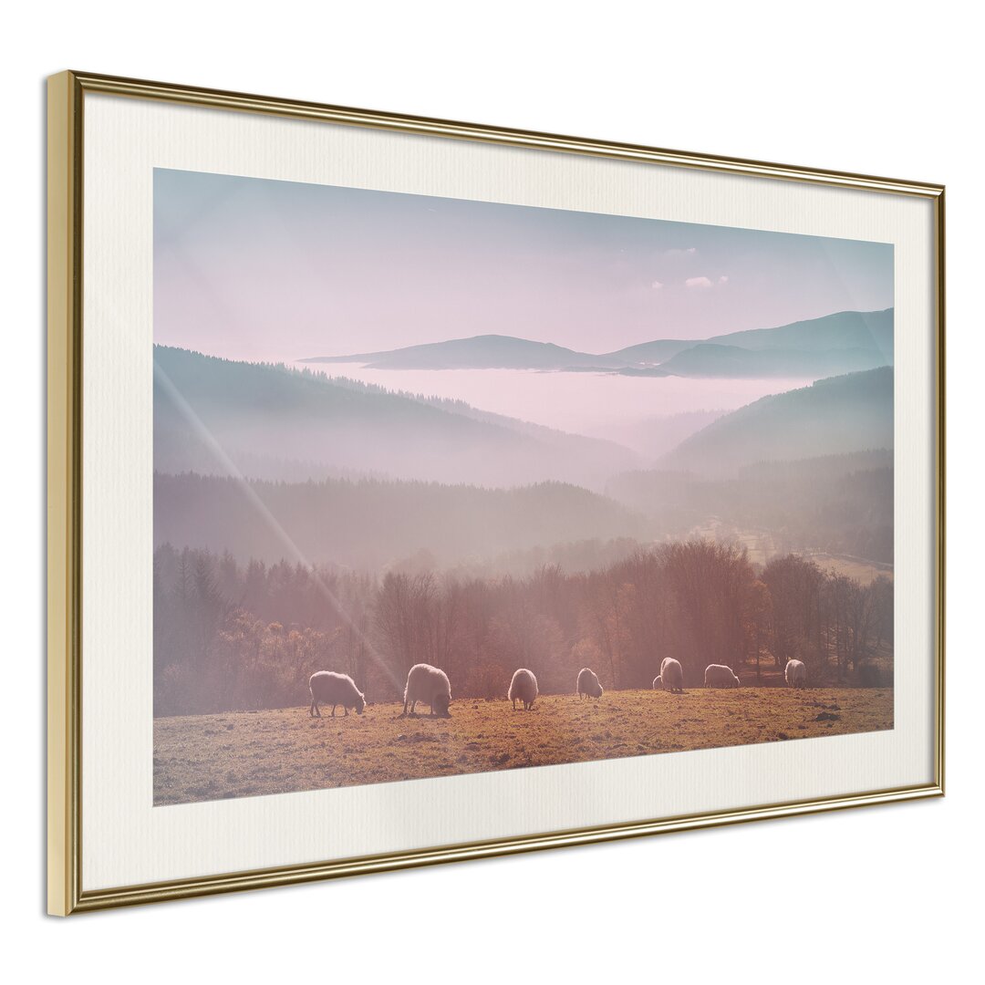 Gerahmtes Poster Mountain Pasture