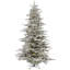 Sierra 12' H Christmas Tree