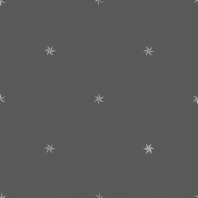 Rouleau de papier peint L 33 pi x l 20,5 po Paule Marrot Etoiles