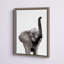 "Animal Studio Elephant" par Amy Peterson, reproduction d'art sur toile encadrée