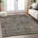 Colier Flatweave Abstract Indoor / Outdoor Rug