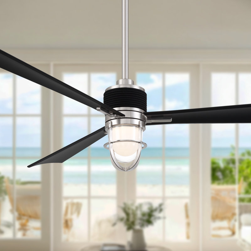 Nauticus, Black
