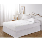 Benally Waterproof Fitted Mattress Protector Case Pack