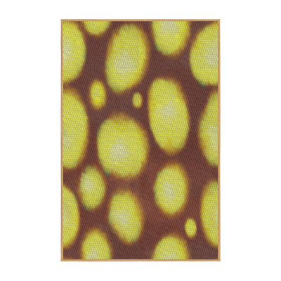 Brun abstrait/Tapis décoratif vert