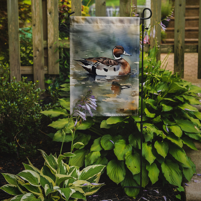 Drapeau du jardin Northern Pintail_DAC3245