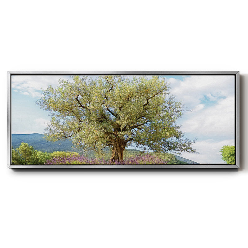 Olive, toile encadrée, H 20 po x l 50 po