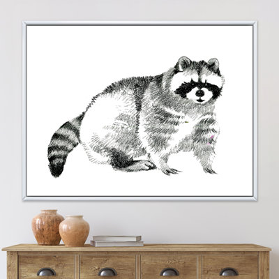 " Monochrome Portrait Of Raccoon "