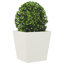 Raice Planter Box-2052166971-2052172480