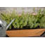 Pot à fleurs Mezza Parklette-55620246-121882408