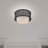 Nedra Flush Mount