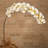Phalaenopsis Orchid Artificial Flower Set of 2