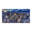 Aliyaah Blue - New York Bird Flight - No Frame Print on Glass