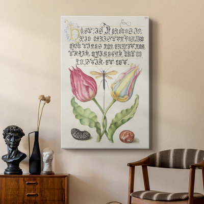 Hoefnagel, spéculations tropicales - galerie sur mesure