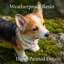 Jardinière pour chien Corgi