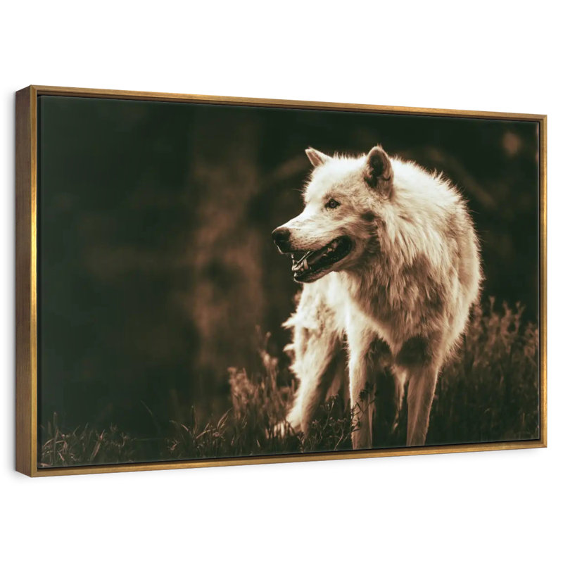 Loup Alpha qui grogne, 46 po x 31 po, Cadre flottant doré