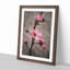 Pink Cherry Blossom Flowers Vol.1 - Picture Frame Graphic Art-62760393-62760392