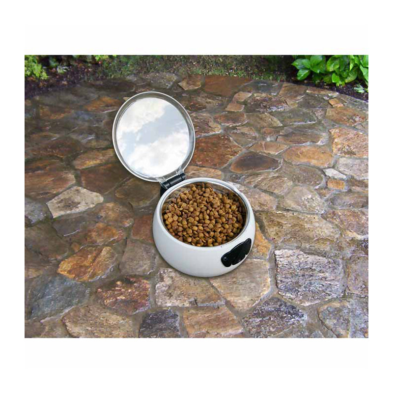 Automatic Feeder