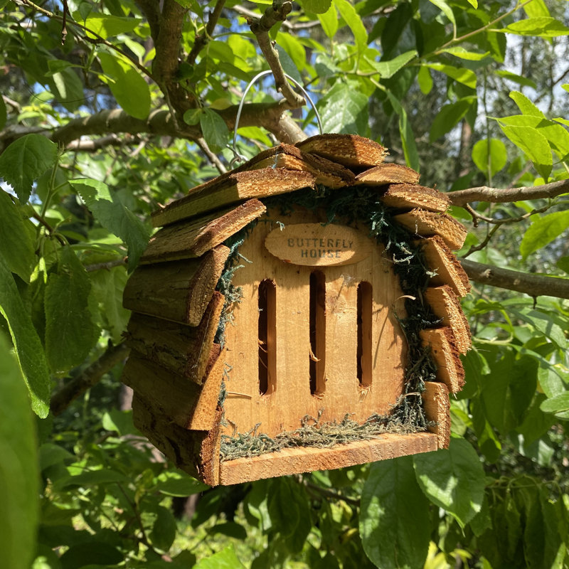 Nuran Hanging Butterfly House