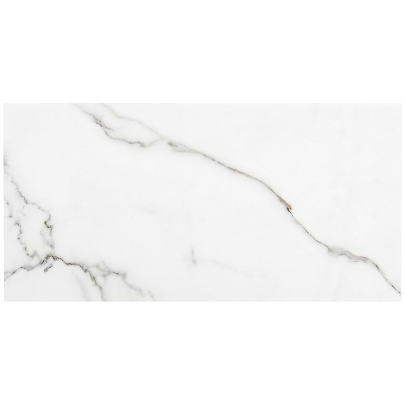 Dreamstone 12X24 Matte Porcelain Tile, Statuario Valley Matte