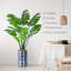 Arbre artificiel dans un pot de fleurs moderne, décoration d'arbre en soie artificielle Monstera (pot et arbre)