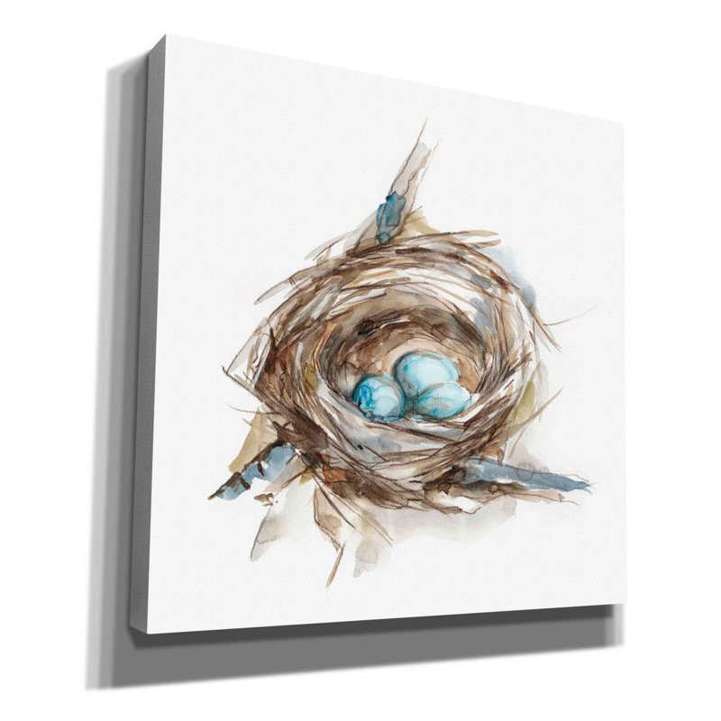 «Bird Nest Study II» par Ethan Harper - impression sur toile tendue, H 26 po x l 26 po
