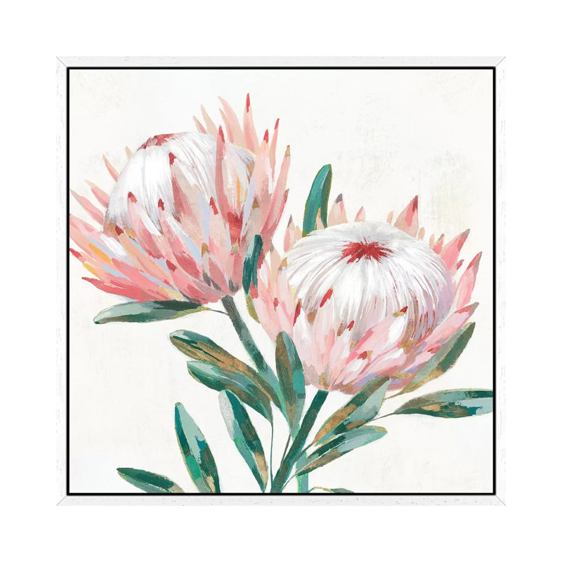 King Protea I by Isabelle Z - Painting on Canvas, White Framed, 45.72 cm H x 45.72 cm W