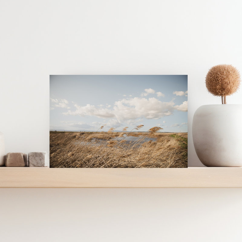 Golden Reeds Landscape Organic Peaceful Serene Landscape Nature, art mural, H 18 po x l 12 po