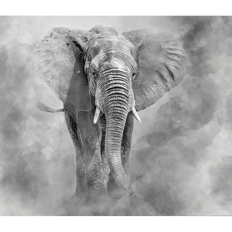 Wrapped Canvas Print, 81.28cm H x 121.92cm W