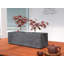 Disalvo Planter Box-1110958666