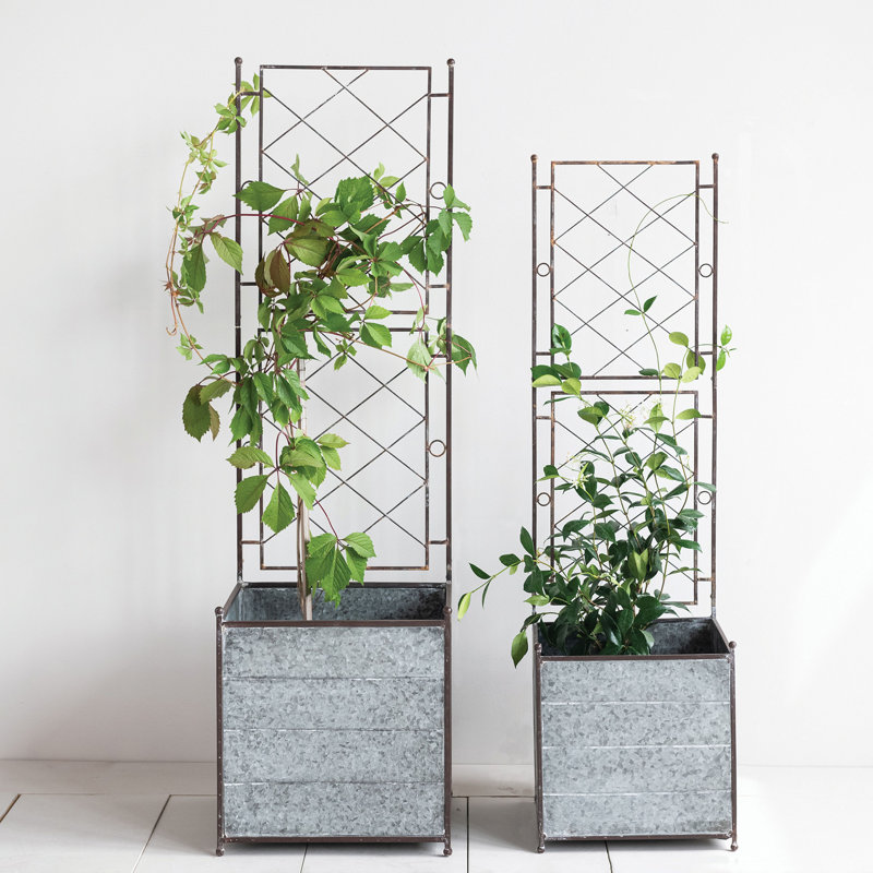 Jardinières en métal galvanisé 2 pièces avec treillis