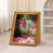 Rose Manor Painting est en rupture de stock