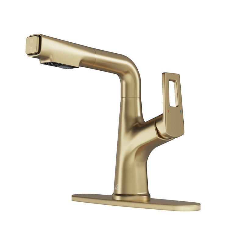CASAINC Single-Handle Pull-Out Bathroom Faucet Single Hole Faucet with Deck Plate