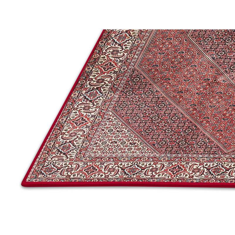 Oriental Indoor Rug, Rectangle 5' x 7'