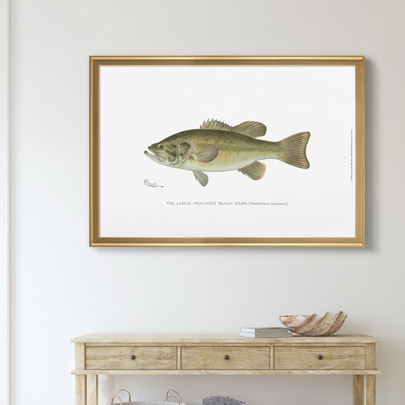 Large Bass Mouthed Black Bass - reproduction d'art sur toile encadrée, H 18,5 po x l 24,5 po x P 1,5 po, Doré