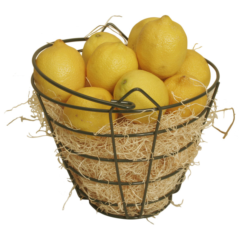 Panier en métal boule de golf