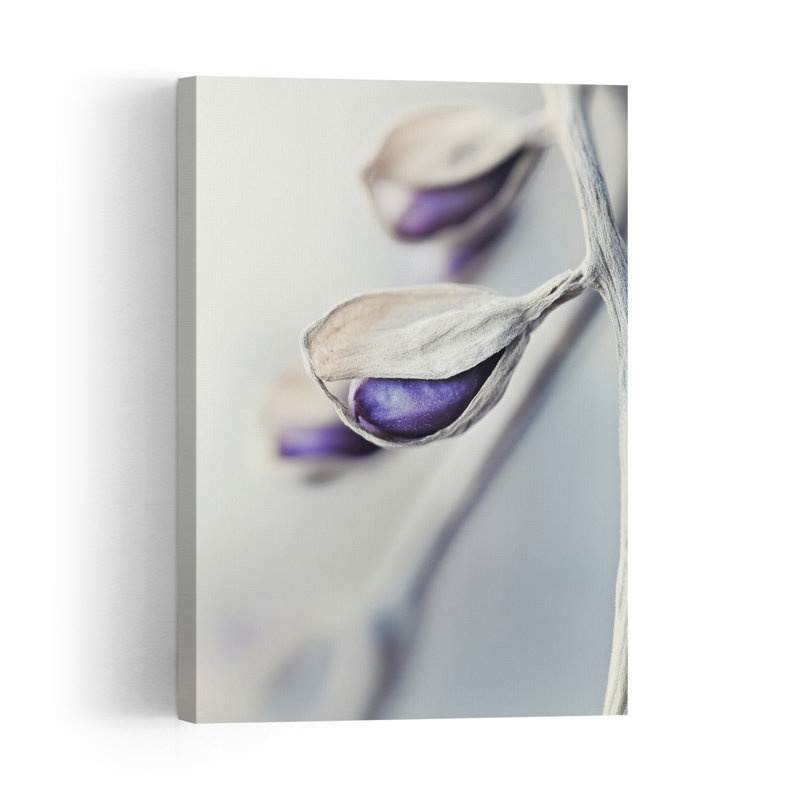 Ethereal Blossoms Abstract Delicate Minimalist Violet Nature Plant Wall Art Print 1 Piece Wrapped Canvas Wall Art