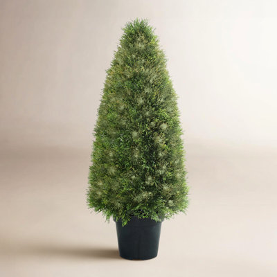 Moss Topiary in Pot
