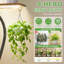 Support pour plante d'intérieur avec culture, structure en métal à 9 niveaux de 63 po de hauteur, design moderne chinois pour l'espace de vie, apparence de noyer brun, étagère à base horizontale, plusieurs plantes dans le balcon,