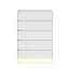 73cm W 5-Drawer Chest with RGB LED Light, Modern Minimalist Tall Dresser,  White