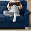 Canapé 82 pouces 3 pièces en tissu molletonné compressé moderne pour le salon, la chambre à coucher, le bureau et les espaces de divertissement, bleu-2061118759