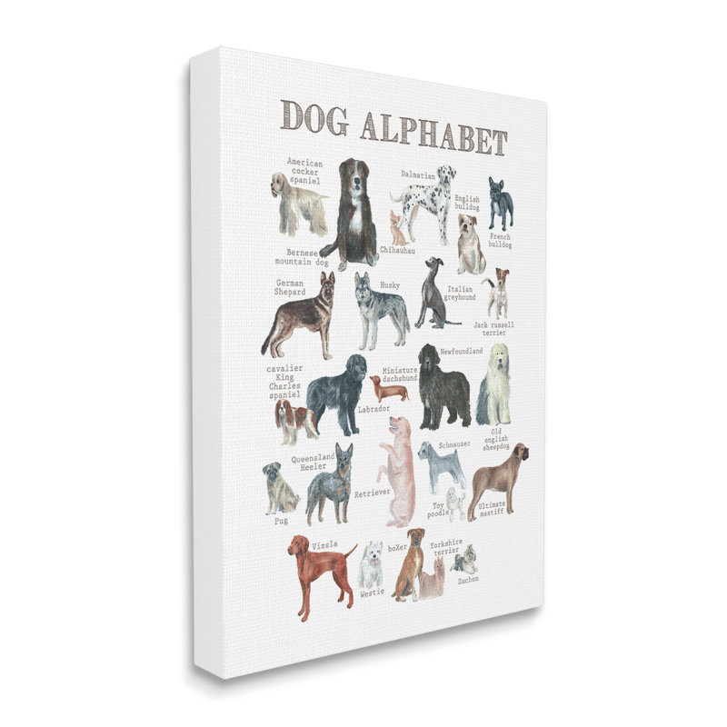«Dog Alphabet Multiples Races», impression sur toile tendue, H 20 po x l 16 po x P 1,5 po