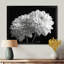Monochromes blanc noir, «Mums Botanical Beauty I», reproduction d'art mural-2115544002-2115544001